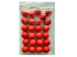 SPORTSMADISON Bolsa 25 Boliches de petanca color rojo