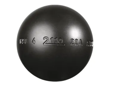  MS 2110