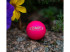 OBUT Wooden Jack Pink