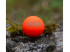OBUT But bois couleur Orange verni